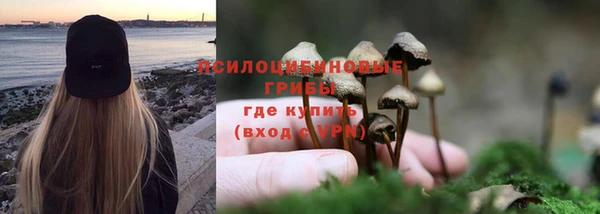 твердый Сафоново