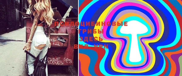 стафф Баксан