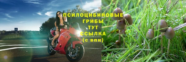 стафф Баксан
