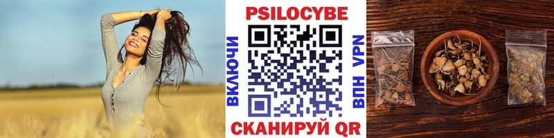 Псилоцибиновые грибы Cubensis Котельники